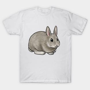 Small Mammal - Rabbit - Netherland Dwarf T-Shirt